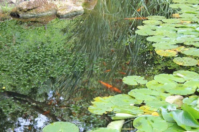 Building a Pond in Hertfordshire
