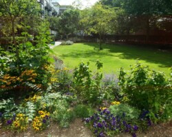 Garden design & maintenance services