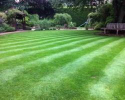 Horticultural expertise in Hertfordshire