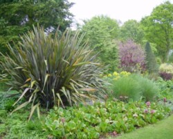 Expert Garden Maintenance in Hertfordshire